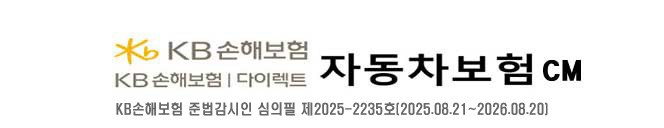 KB손해보험 다이렉트 자동차보험